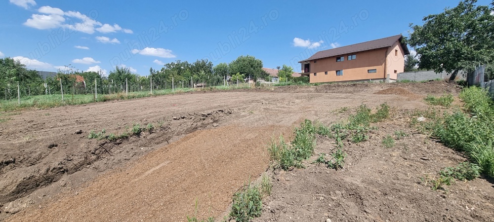 Vând teren 800mp în giarmata mare 