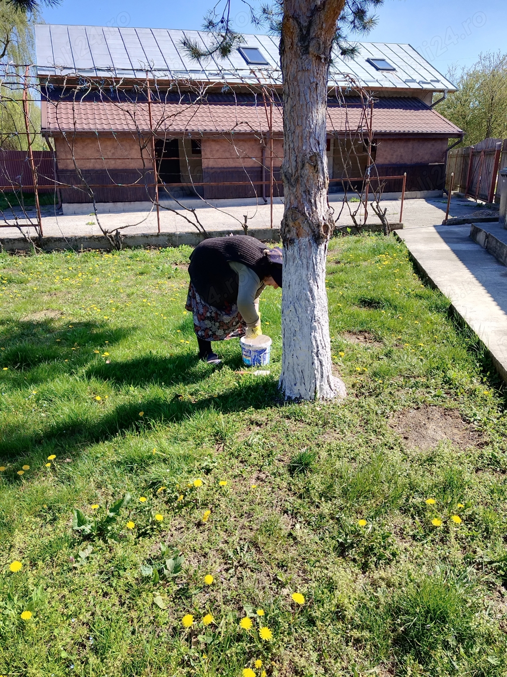 Vand casa,(PROPIETAR) Contesti,jud Dambovita, P+M,cu teren 500 mp