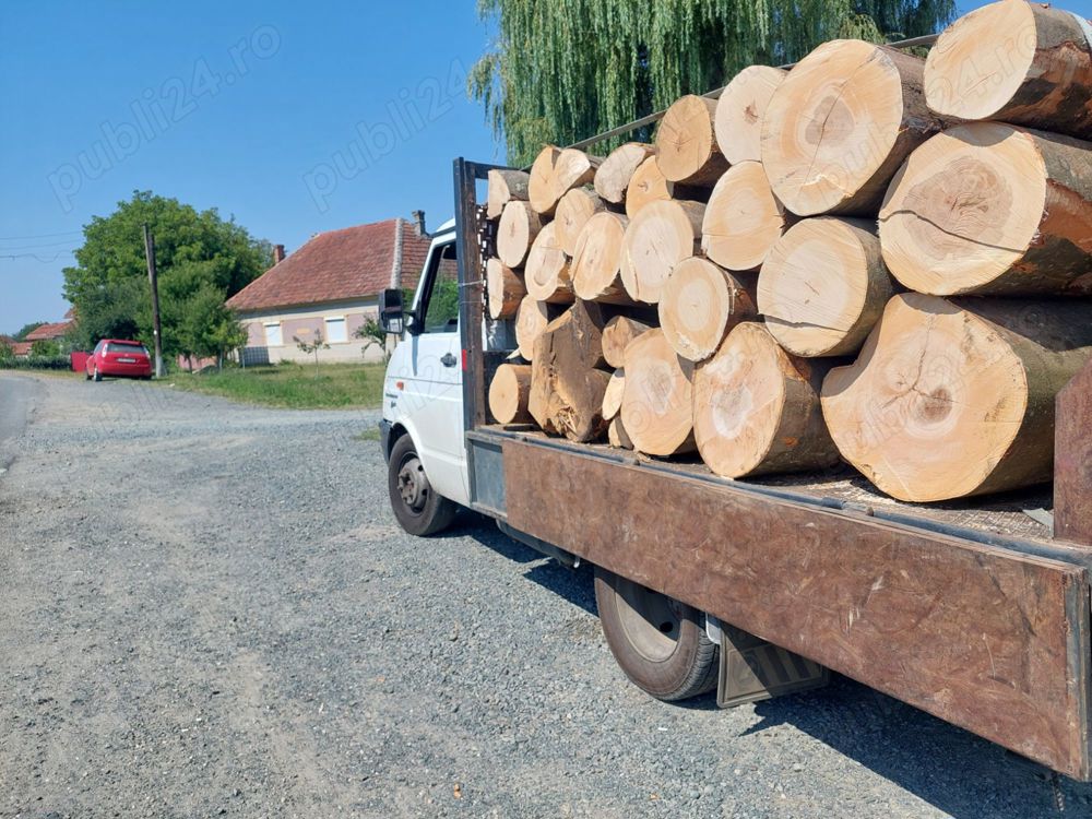 Lemne de foc esență tare  buștean 