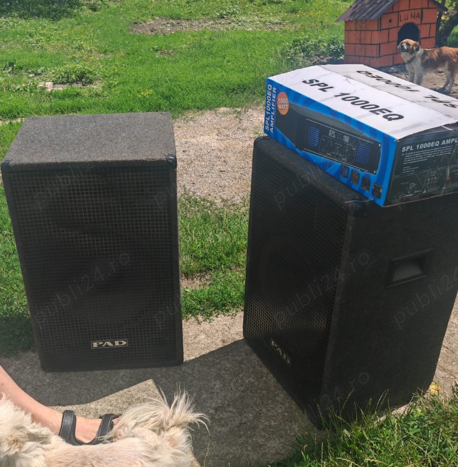 Boxe 800 w cu amplificator nou