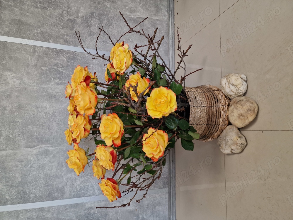 Angajăm personal pentru FLORĂRIE în Târgoviște  Angajăm personal pentru FLORĂRIE în Târgoviște