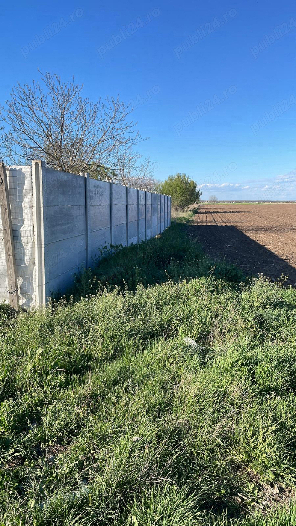 Teren intravilan Dascalu  18000m2 