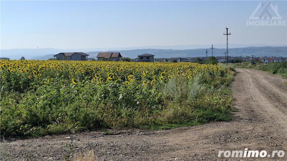 Teren Intravilan 4000 mp,Valea Lupului Rediu