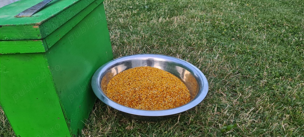 Polen crud poliflor din recolta 2025 