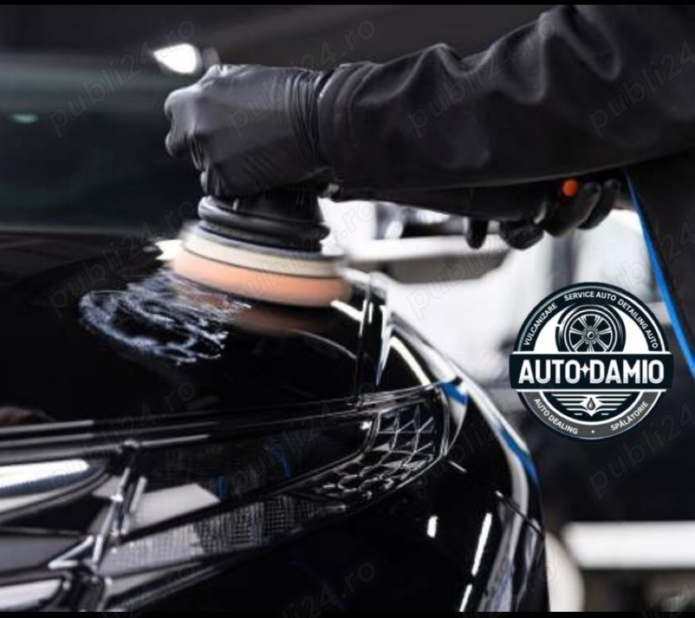 Polish Auto Profesional 