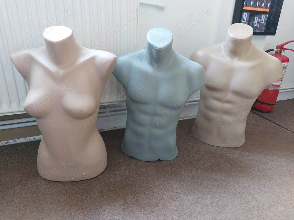 Vand busturi barbati = 20 lei bucata