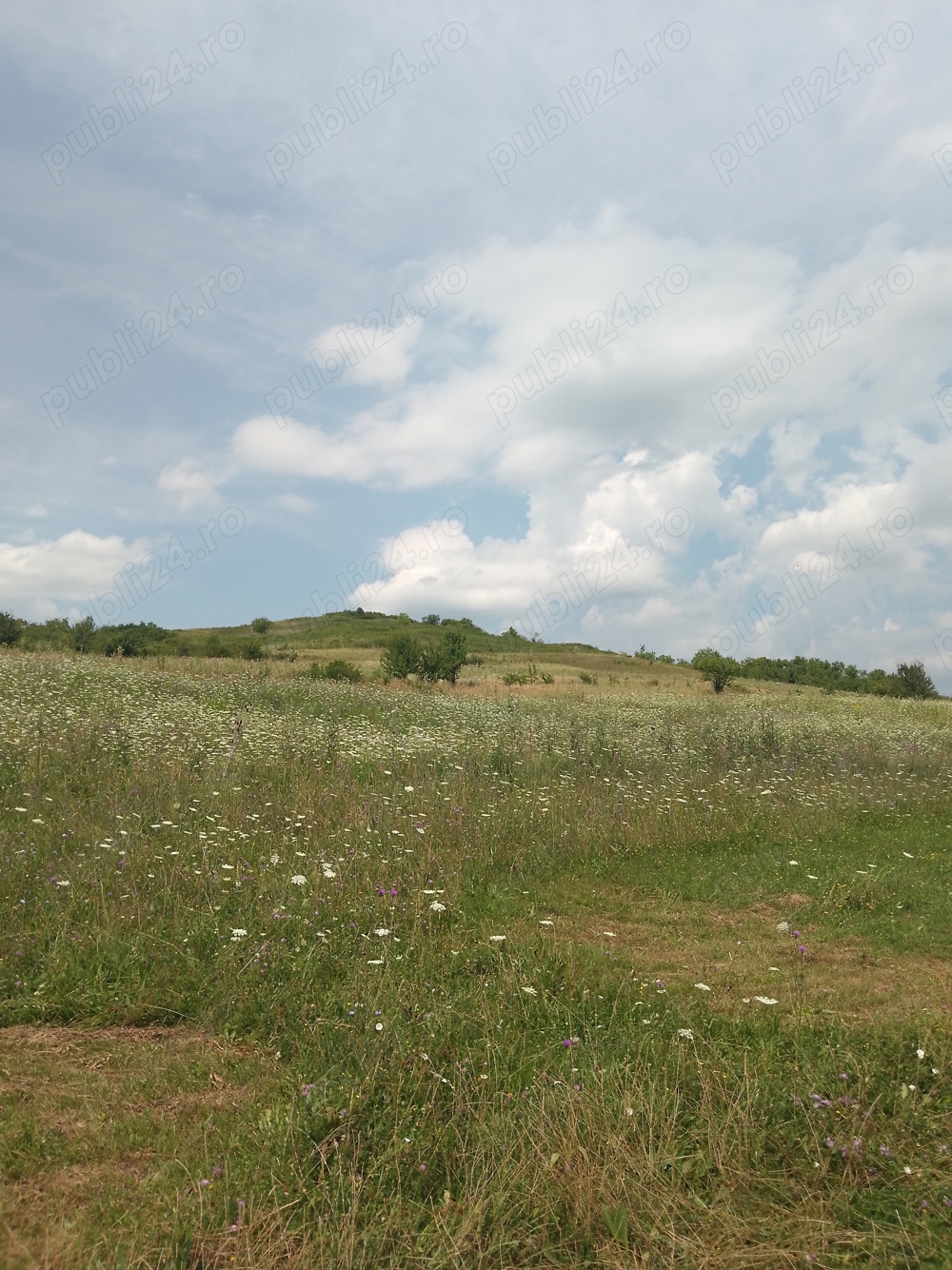 Teren  in Blajenii de Sus Bistrita