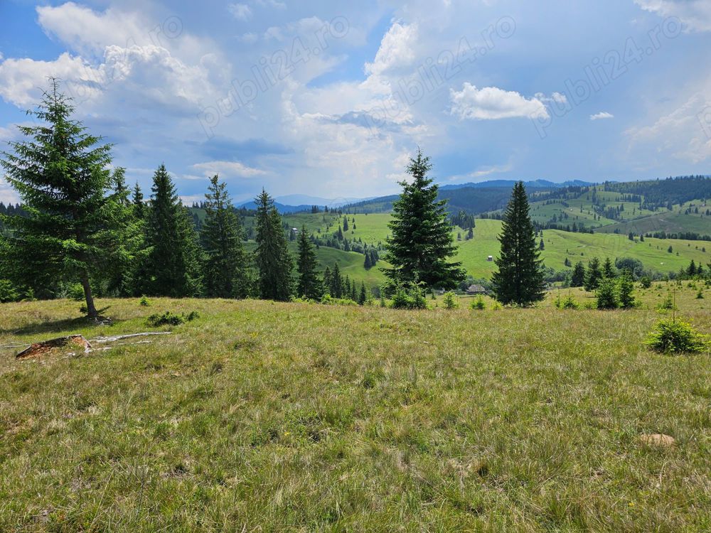 Proprietate de vanzare 92.554.mp ( 9.25 ha) in Bucovina zona Breaza 