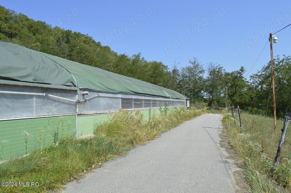 Bogati - Glimbocel, ferma zoo, cladiri autorizate DSV, teren 8766 mp!