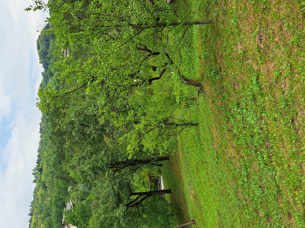 teren intravilan pentru constructii