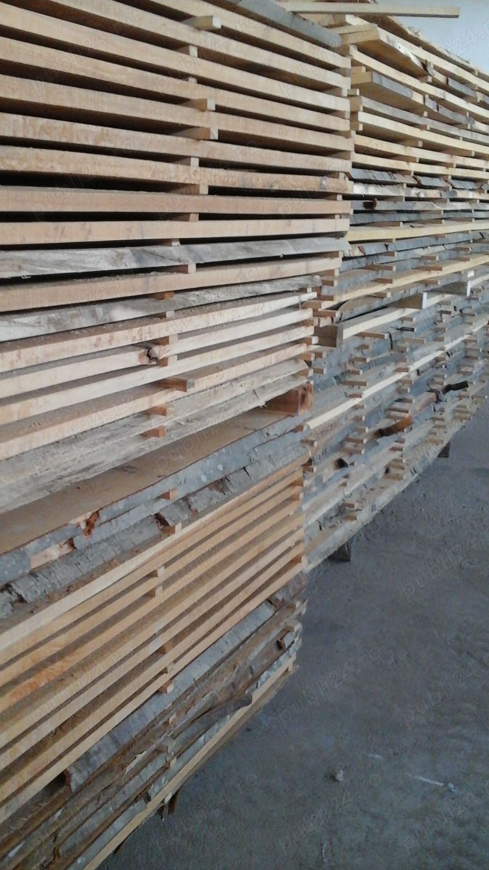 vand cherestea fag, castan uscata in uscator