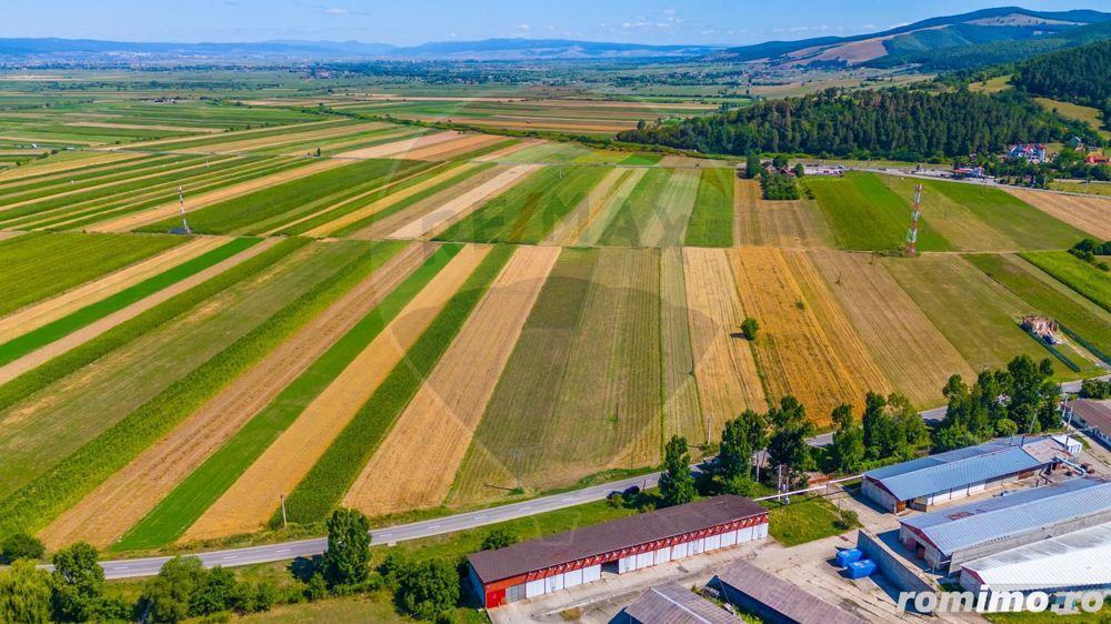 Teren/ Plantatie cu Trandafiri de Damasc 7,000mp Teliu - Brasov!