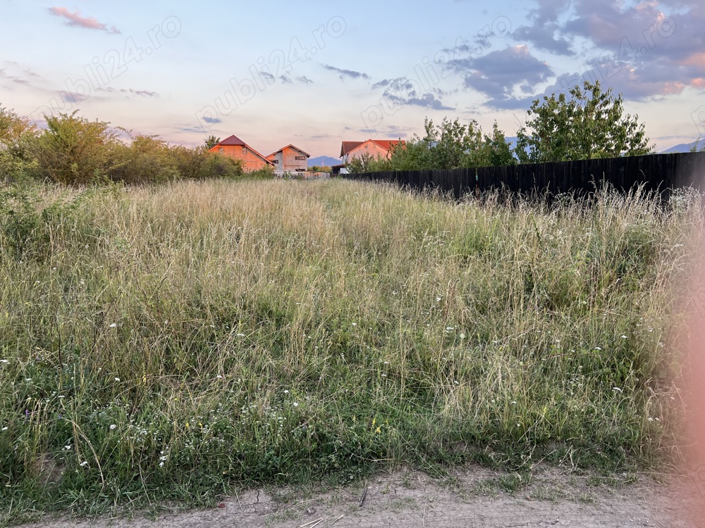 Vand tere intravilan str gutuiului 604 mp