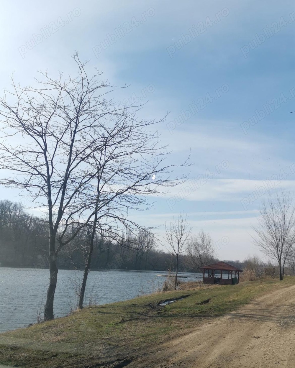 Teren la lac, Balta Palatului Caciulati