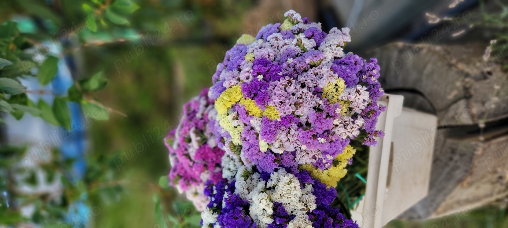 Flori statice la buchet