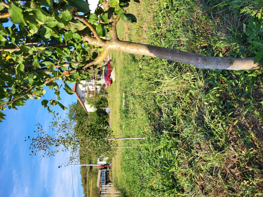 Vand teren 28 ari in Recea, Salaj. Unul intravilan de 10 si ceva si unul extravilan de 17 si ceva.