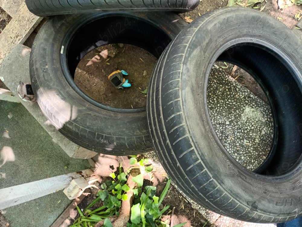 anvelope Dunlop vara