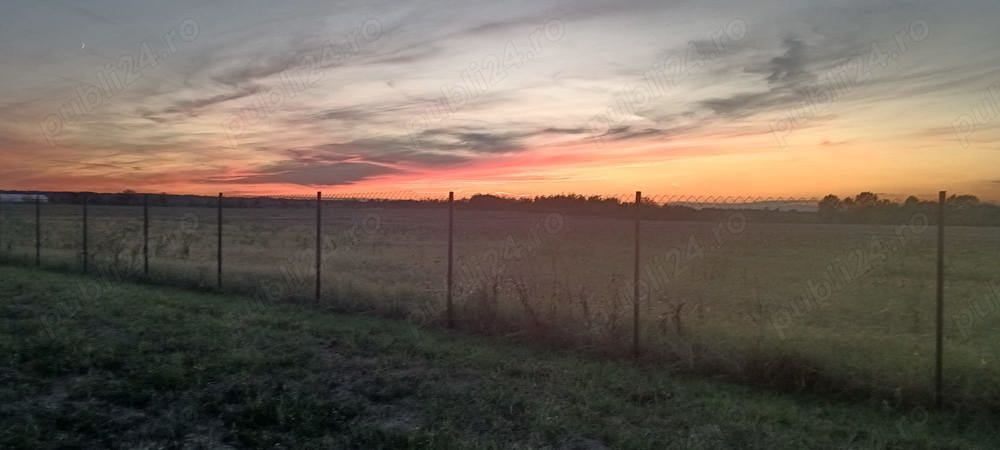 Vand Teren intravilan Piscu   CIolpani