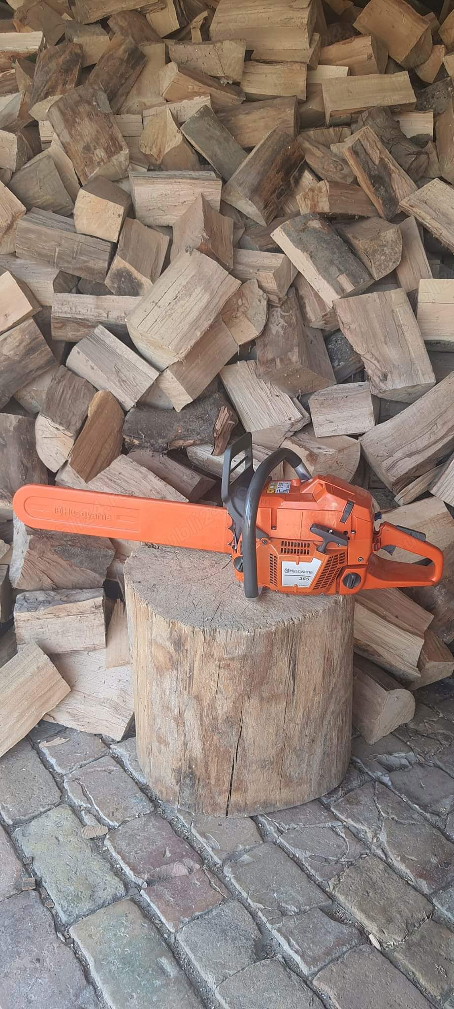 Tai lemne în județul Timiș, în zonele de lângă Teremia Mare