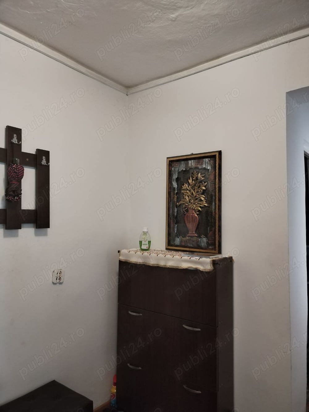 Vând apartament în centrul orașului Vânju Mare 