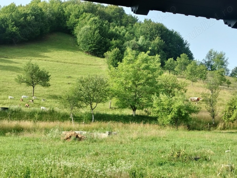 Parcela teren intravilan Vata de Sus, Judetul Hunedoara