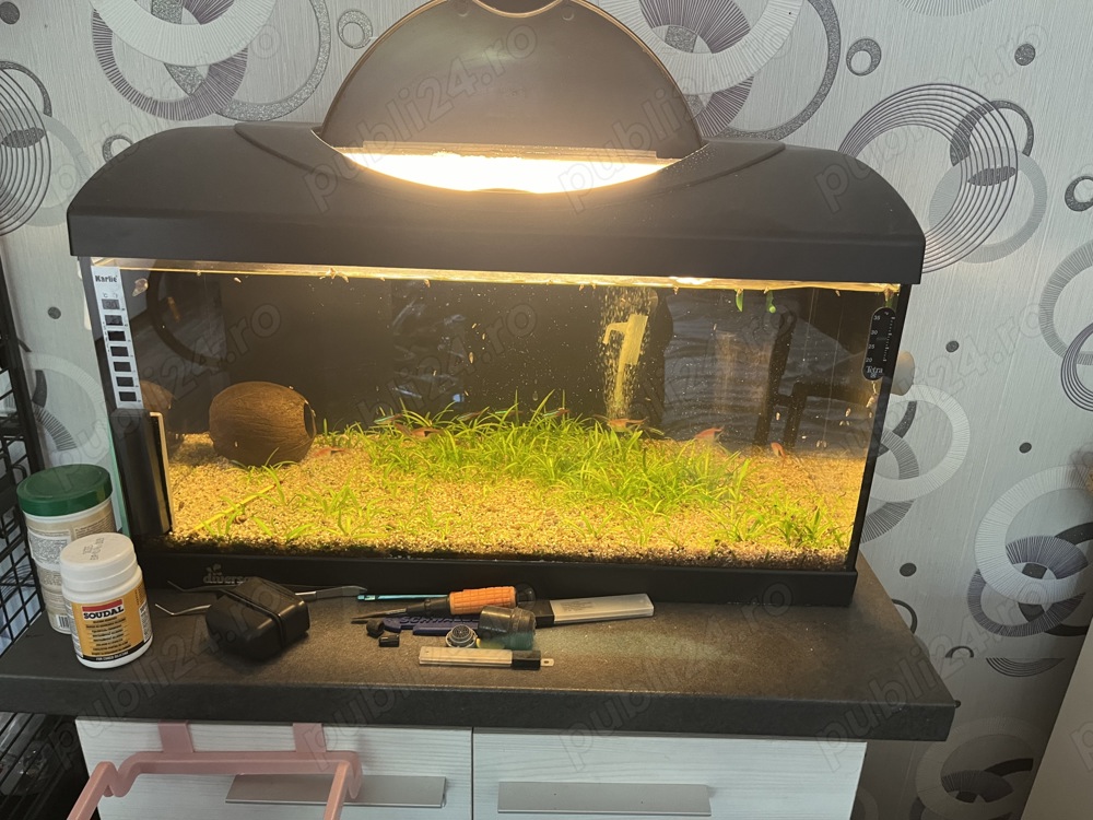 Acvariu 54 litri 60:30 30