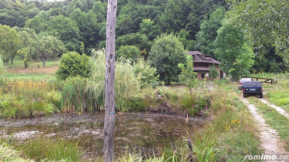 VANZARE ANSAMBLU CASUTE BRADULET ARGES