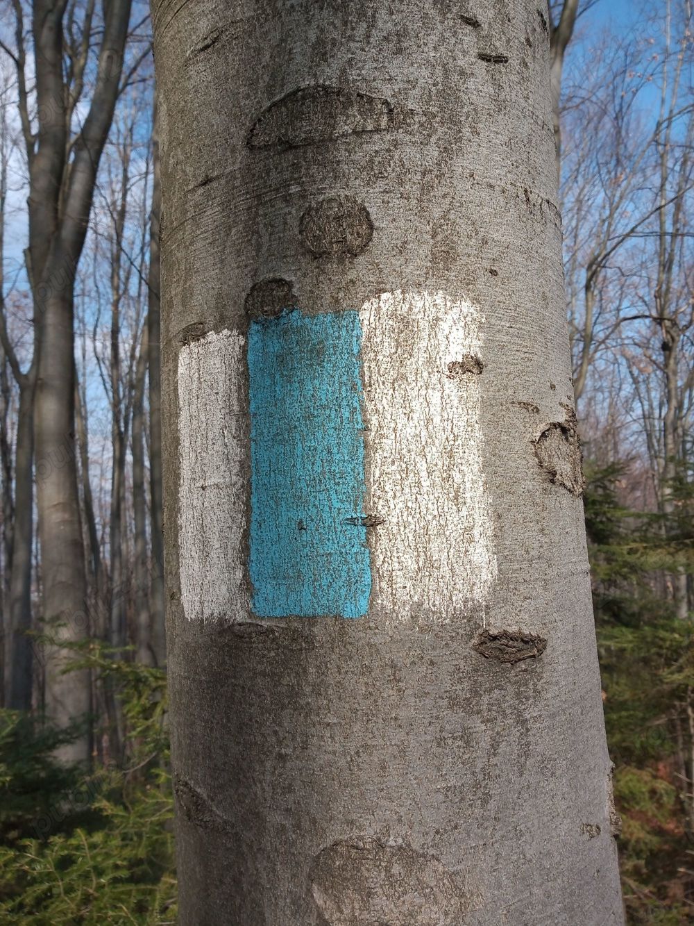 Drumetii copii în Brașov