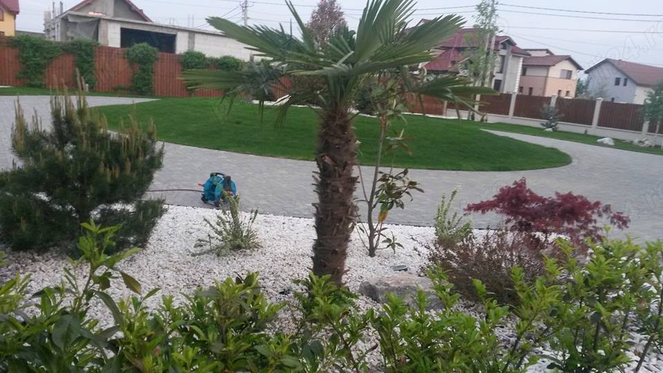 Servicii peisagistice