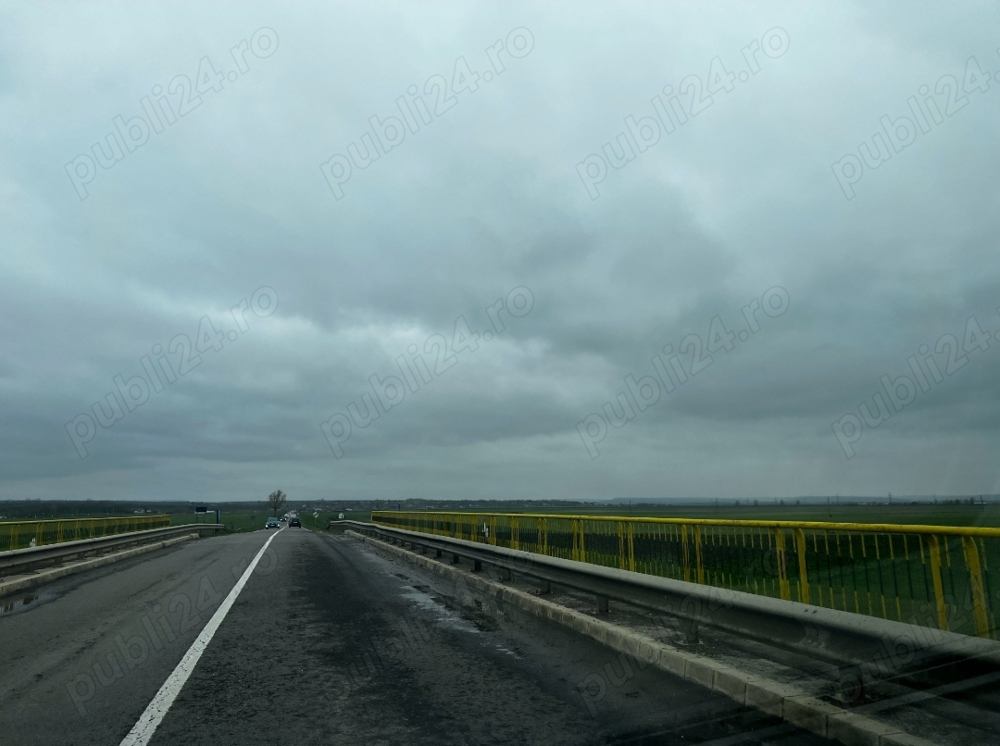 Proprietar 33 ha Popricani Iasi