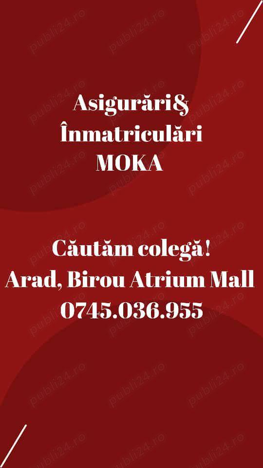 Asigurari & Inmatriculari Moka