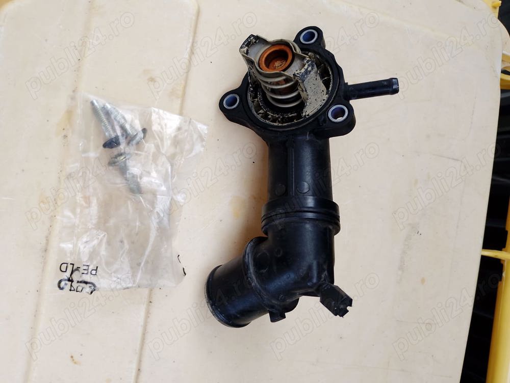 Vând sonda temperatura apă si termostat 