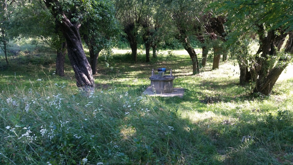 Proprietate 2,3 ha și casa batraneasca