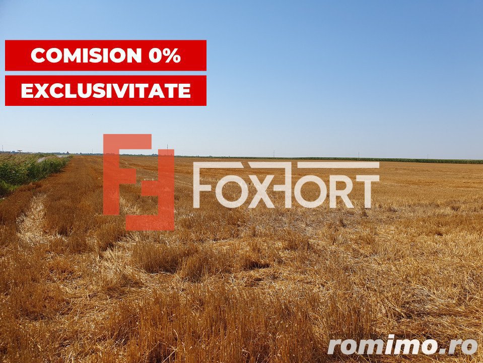 COMISION 0% Teren extravilan 4,47 ha, 800m front stradal, Peciu Nou - ID V5491