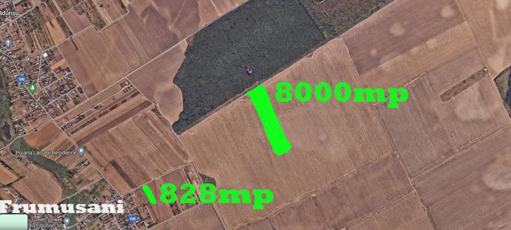 Teren la padure, Frumusani 8643mp, Proprietar Comision 0%