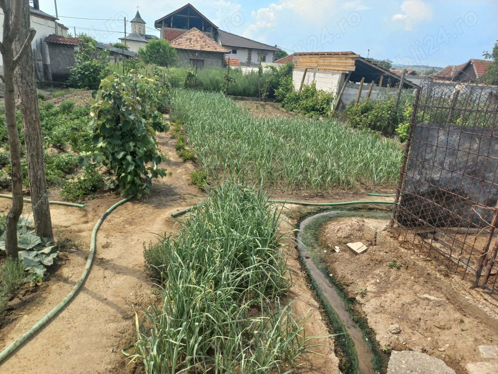 Se vinde casă în Cerneți