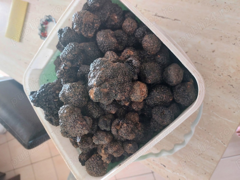 Trufe proaspete fresh parfumate savuroase 