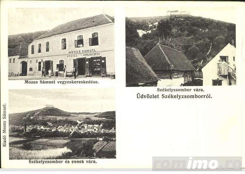 Casa Istorica - Vanzare, 9 Camere, Teren Generos, Restaurare in Sat Transilvania