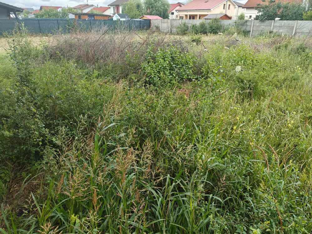 cosit iarba  tuns gazon  sapam cu motocultoru etc