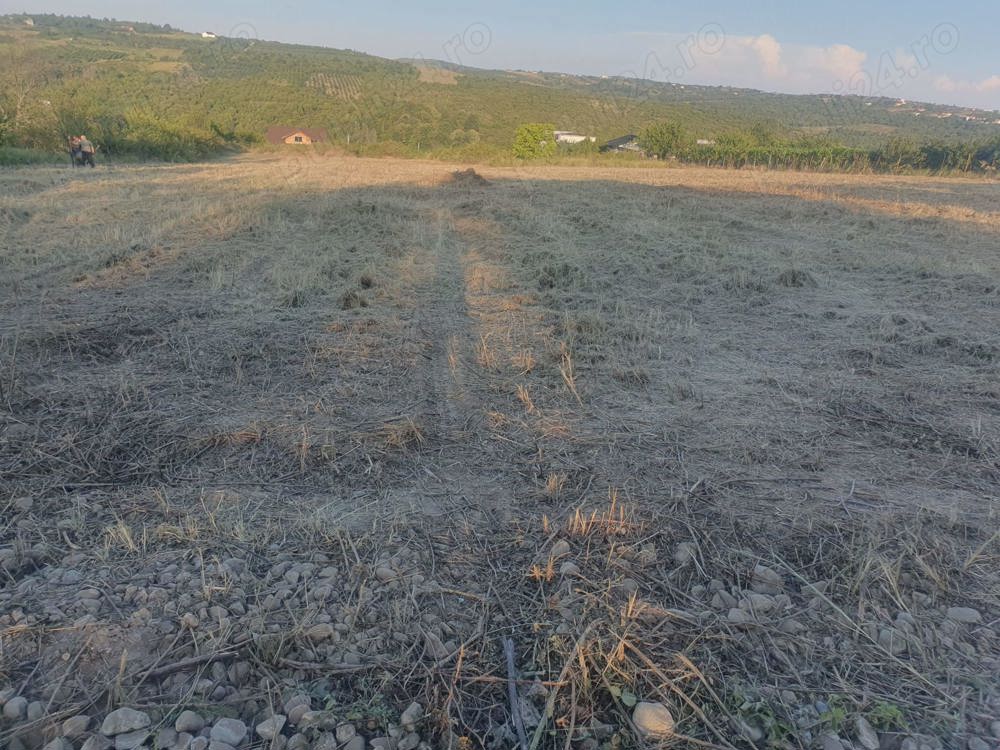 Vand teren intre Oradea si Saldabagiu de Munte, deasupra de Hanul Pescarilor