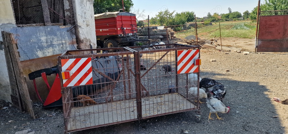 Cusca transport tractor