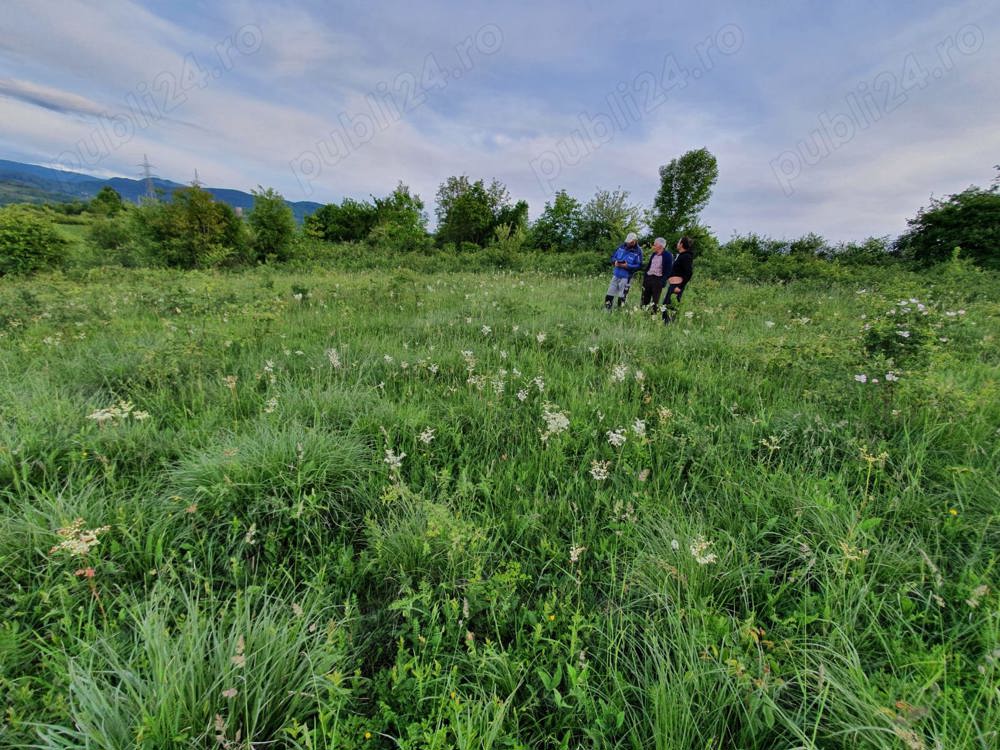 Teren Resita 4350 mp centura Resitei Terova-km 8 negociabil