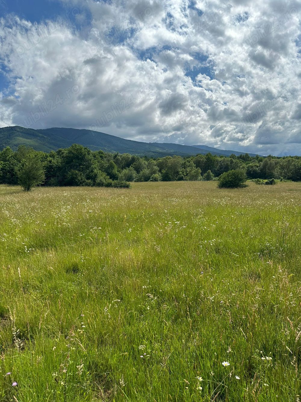 Teren extravilan valea Sebesului la 15 km de Fagaras