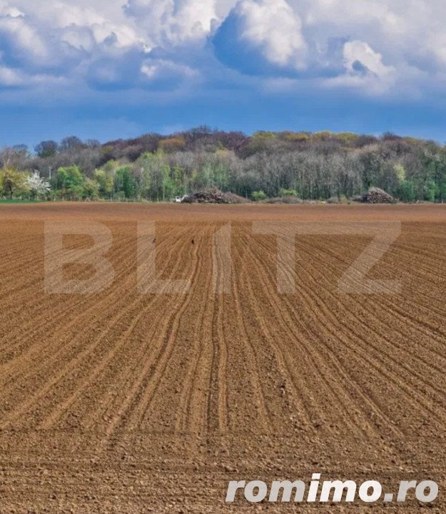 Teren agricol, 23 Ha, zona Sanmartinul Sarbesc 