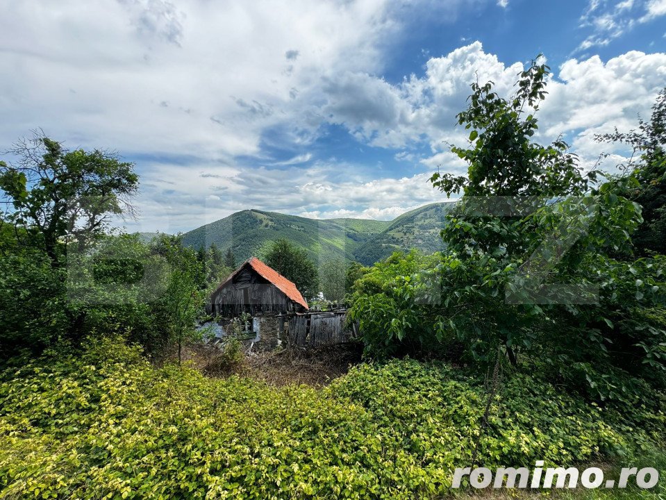 Casă la munte cu teren generos de 9340mp în zona Căpâlna - Valea Sebeșului