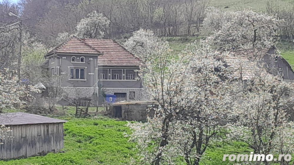 Casa individuala, 5500 mp teren, zona Vintu de Jos, Inuri