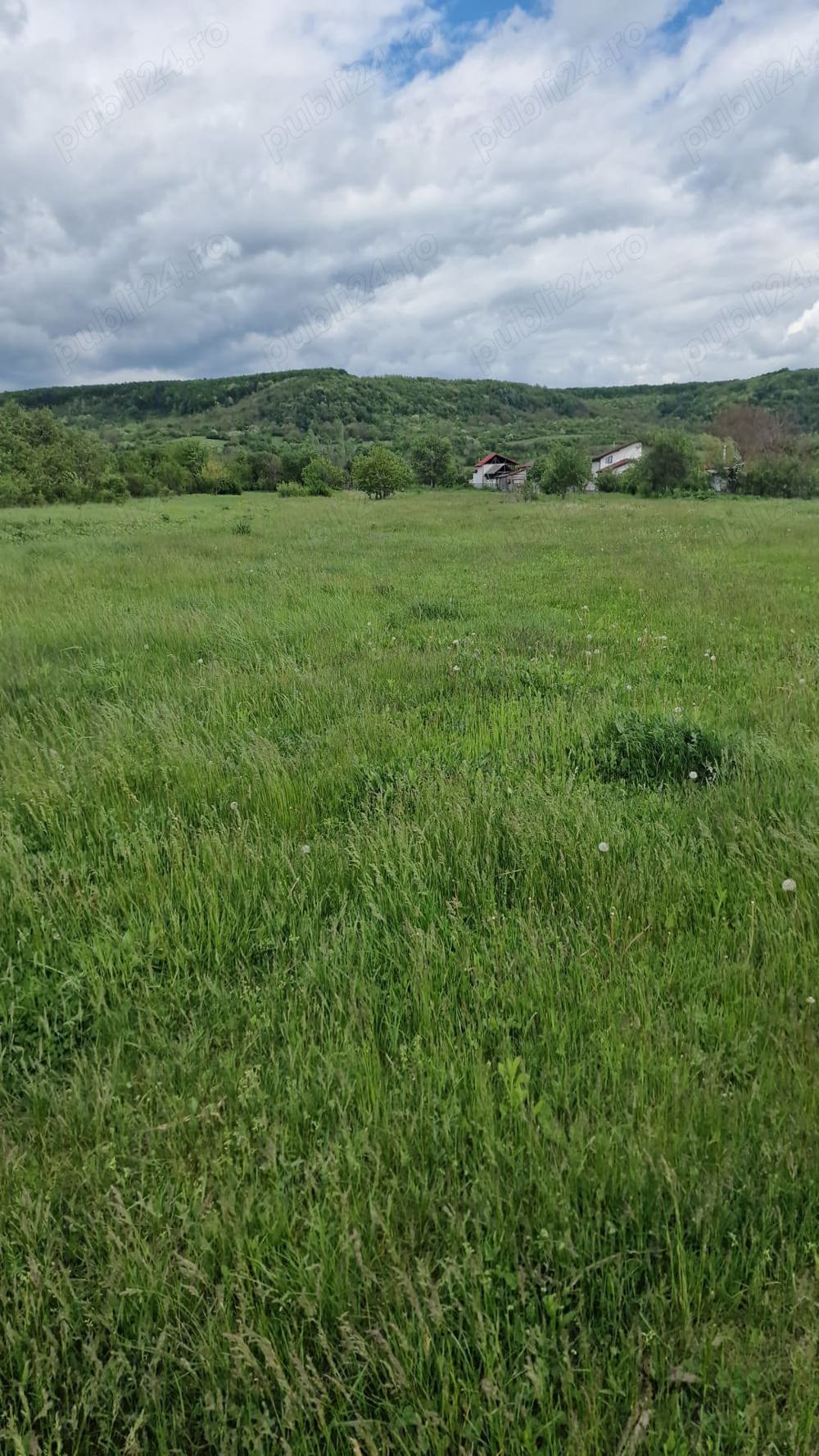 Teren intravilan de vânzare