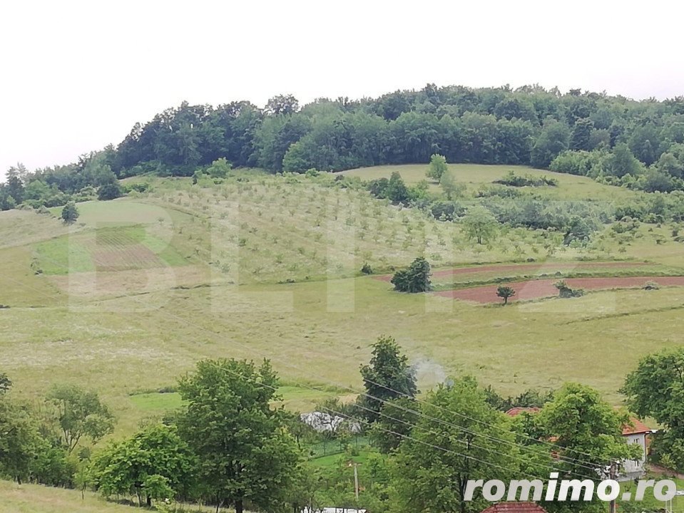 Casa cu teren de 65000 mp in Bratca, zona turistica