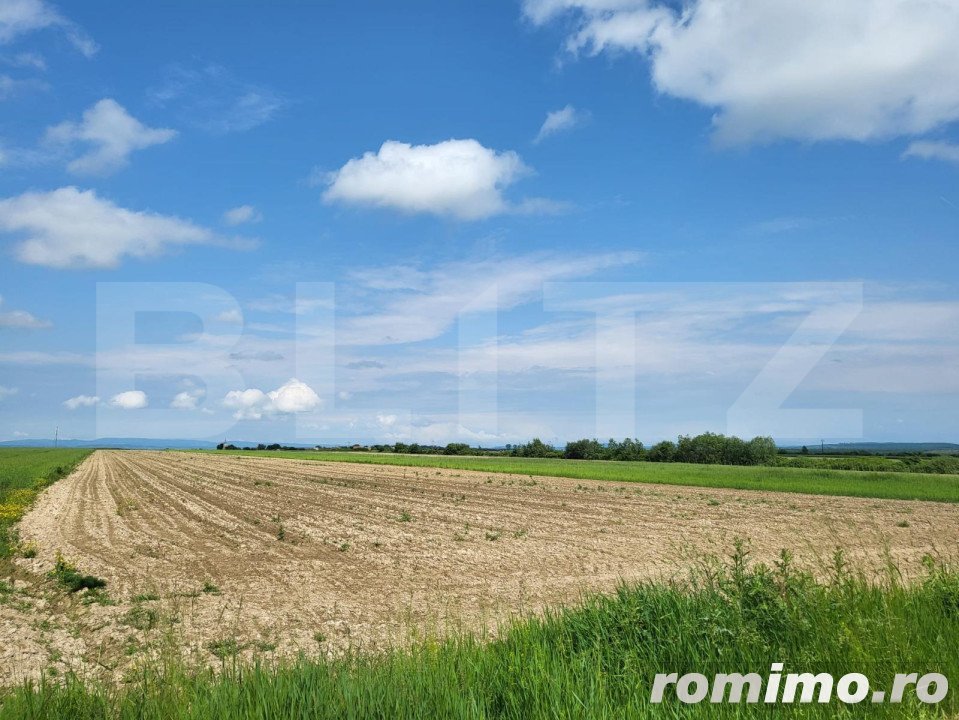 Teren intravilan, 7000mp, Sanmartin Rontau