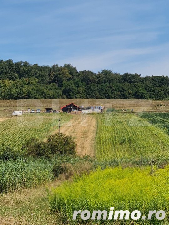 Teren agricol extravilan 60 ari Bardesti